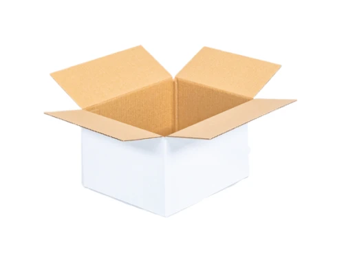 Background Eraser (3).jpeg